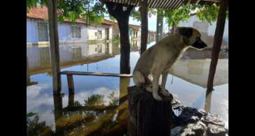 Rompimento de barragem alaga 23 casas e deixa 32 desalojados no Ceará