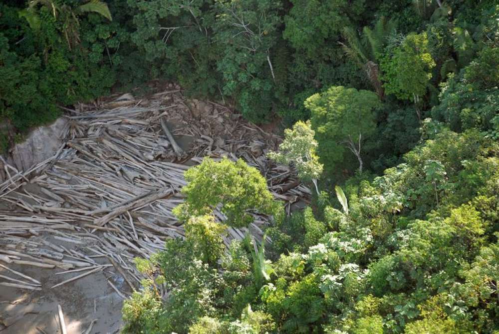 Três em cada quatro hectares desmatados têm indícios de ilegalidade