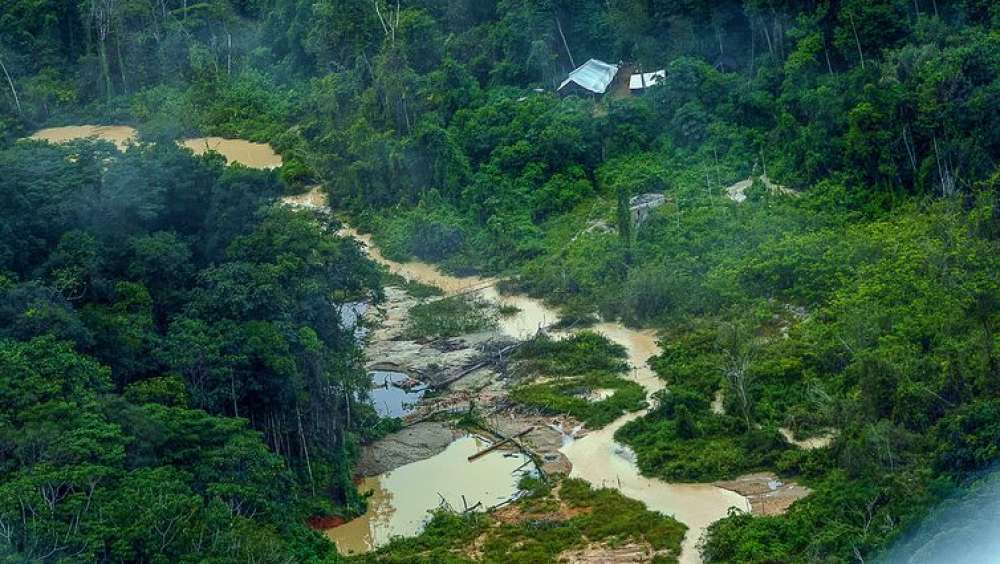 Greenpeace Brasil encontra 176 escavadeiras em terras Yanomami