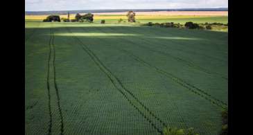 Estudo aponta desafios do seguro rural em meio a mudanças climáticas