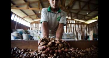 BNDES vai destinar R$ 2,5 milhões para bioeconomia na Amazônia