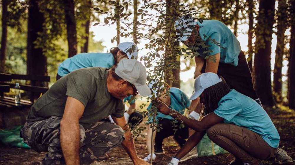 Campanha Árvore da Sorte troca sementes por plantio de árvores