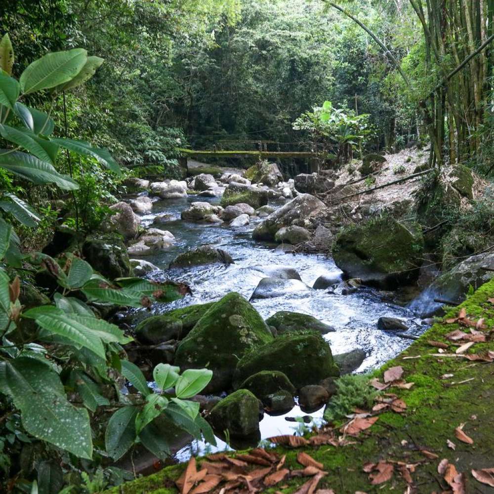 Região preservada estimula turismo consciente e pequenos produtores