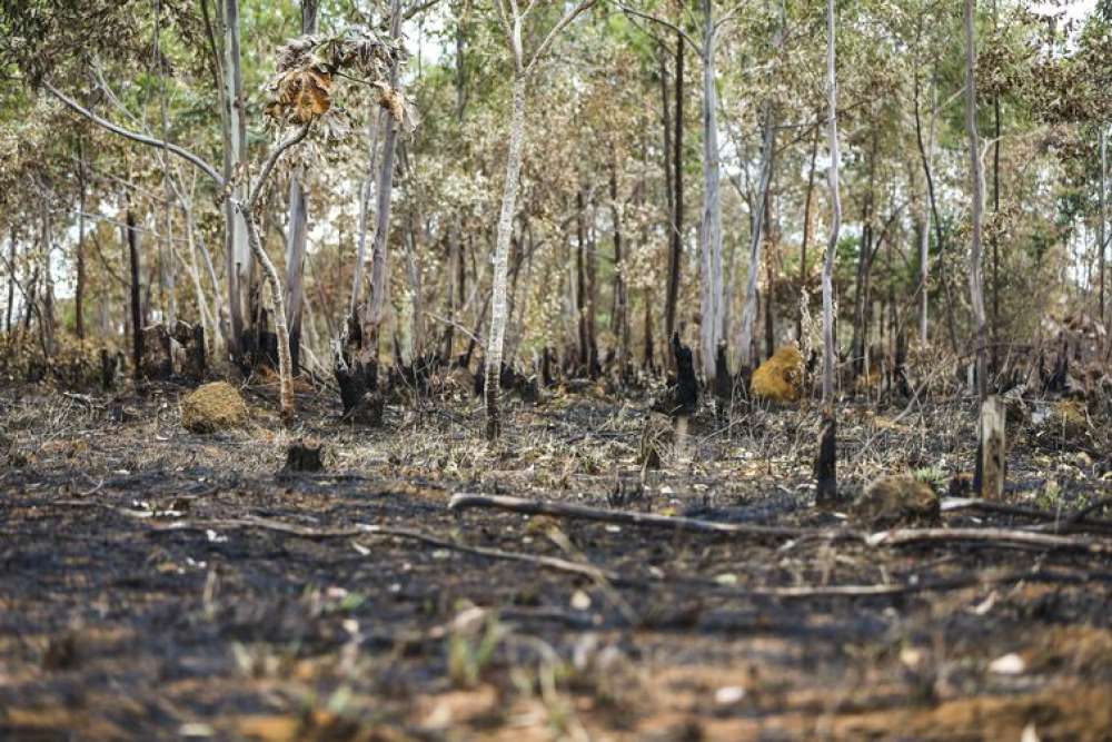 Brasil queimou área equivalente a Colômbia e Chile entre 1985 e 2022